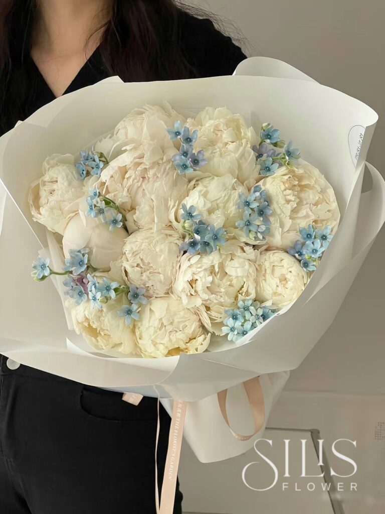 Hoa cẩm tú cầu