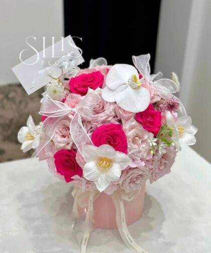 PINK PLOY BASIC BOX S