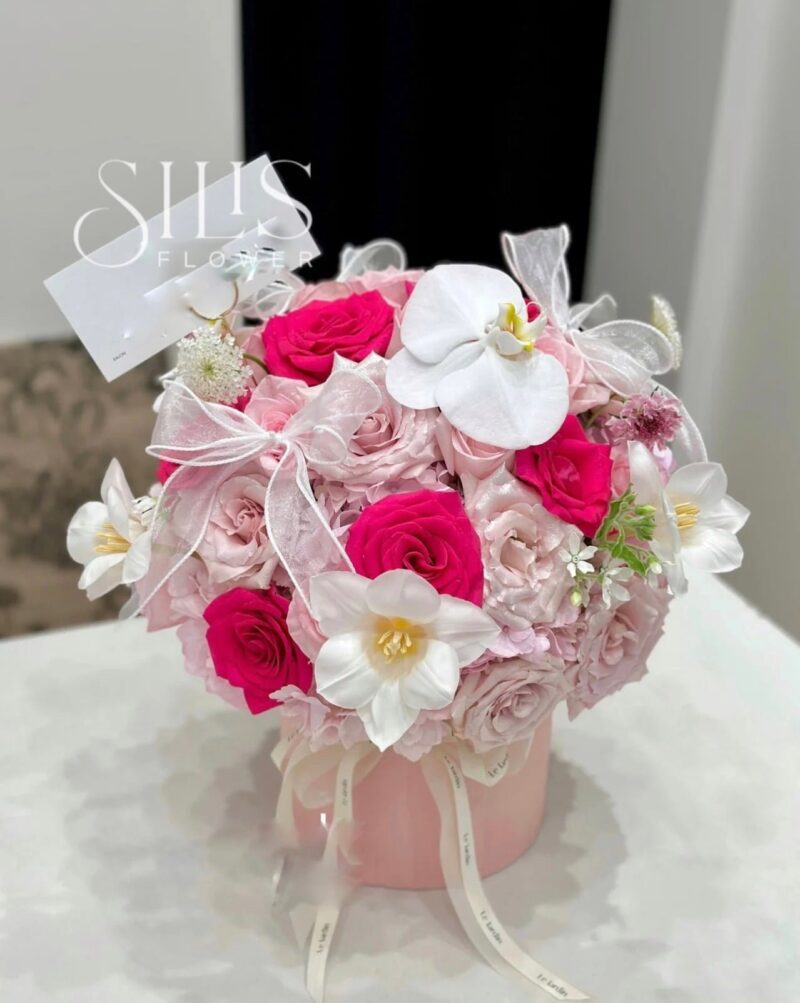 PINK PLOY BASIC BOX S