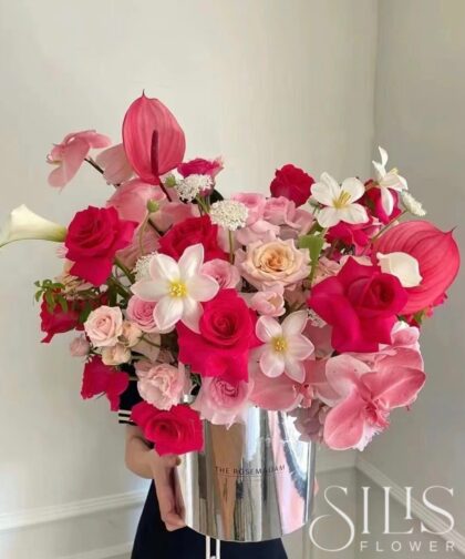 PINK PLOY MIX PINK BOX M