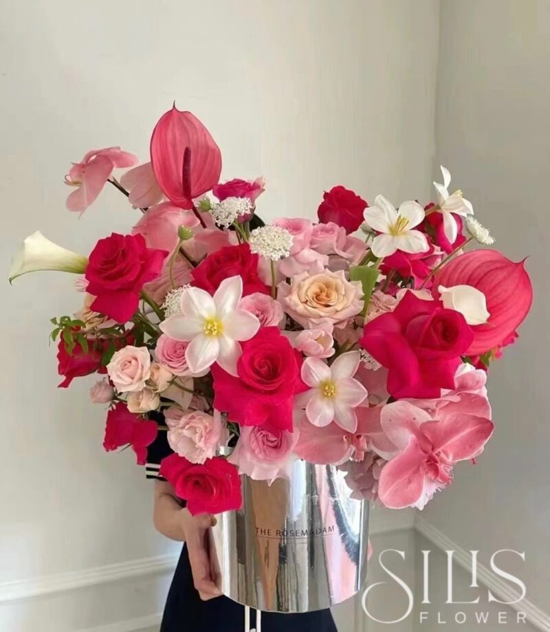 PINK PLOY MIX PINK BOX M