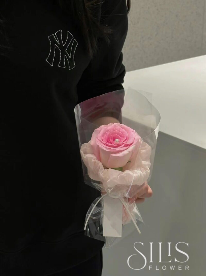 ROSELLE SINGLE