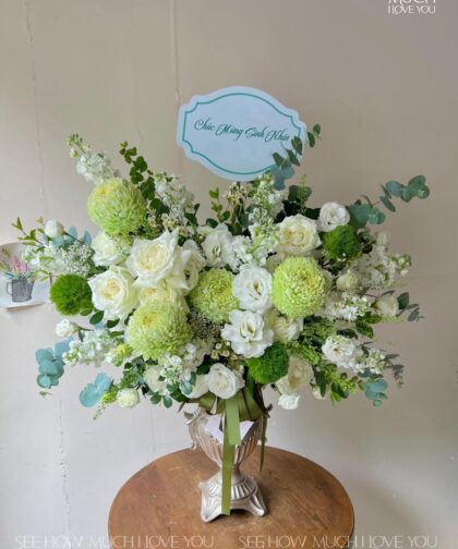 GREEN WHITE MIX BOX L