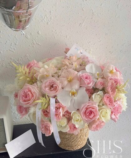 WHITE PINK OHARA M BASKET