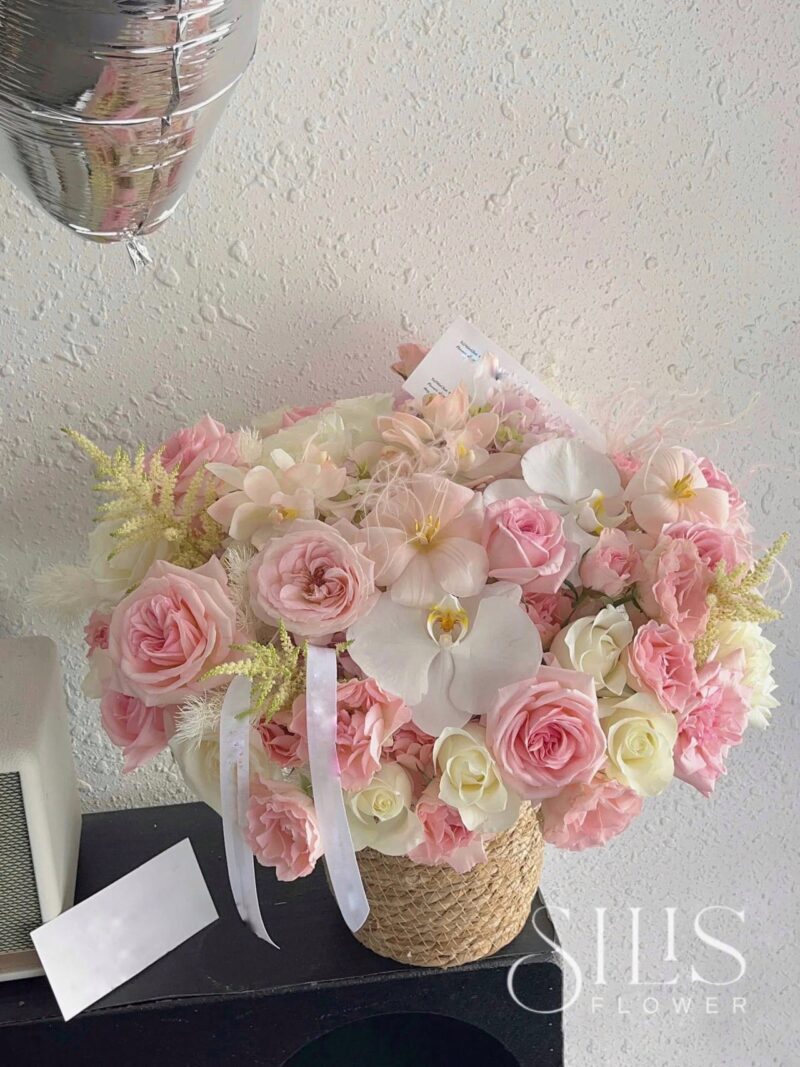 WHITE PINK OHARA M BASKET
