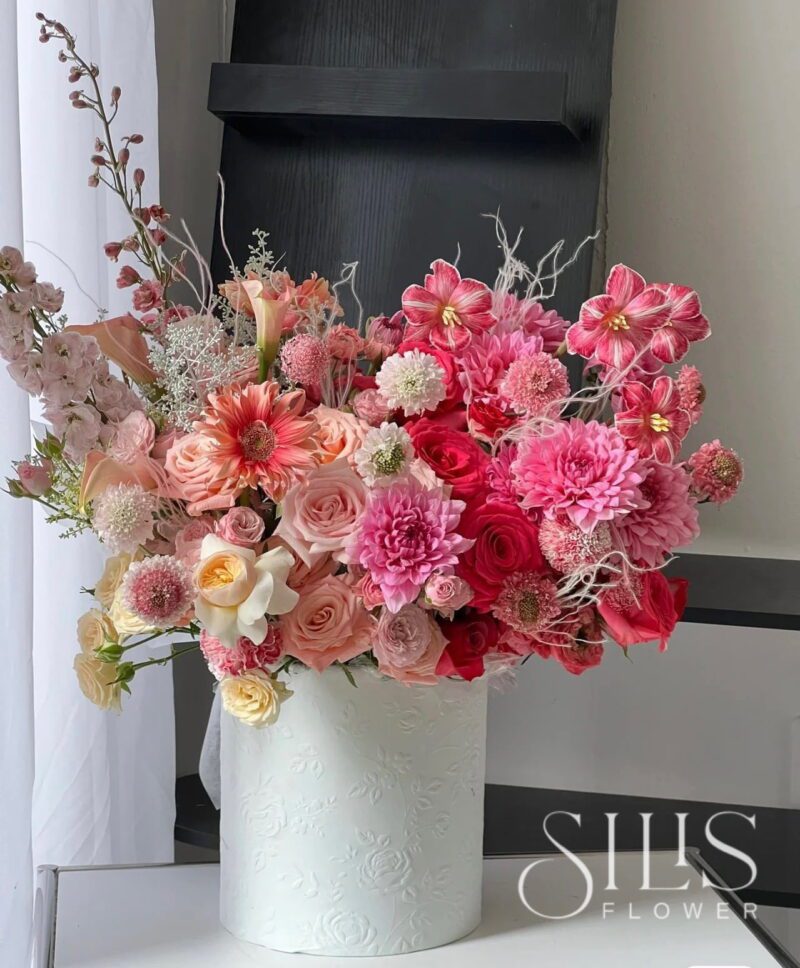 ORANGE PINK PLOY MIX M