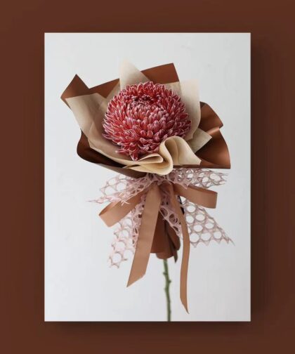 CAPPUCHINO PEONY CHRYSANTHEMUM SINGLE