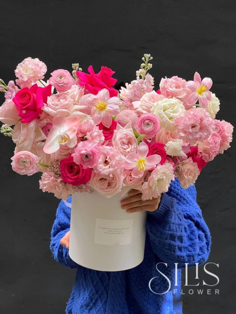 PINK PLOY MIX PINK BRIGHT BOX L