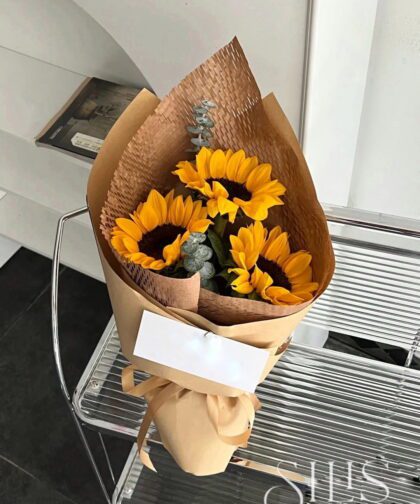 SUNFLOWER 3B
