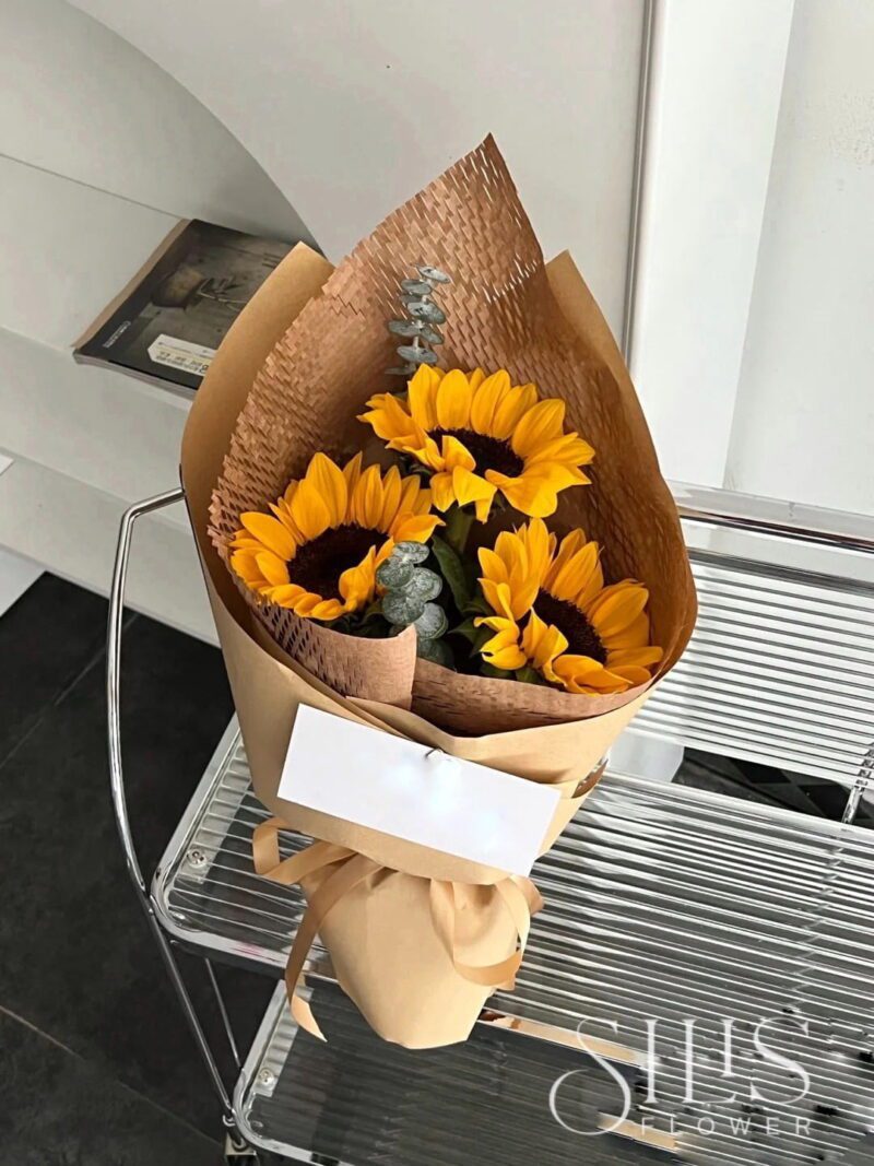 SUNFLOWER 3B