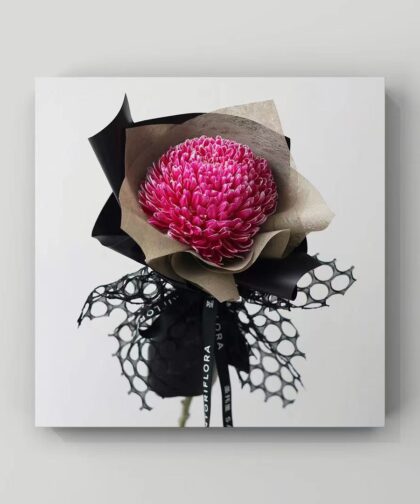 PINK PEONY CHRYSANTHEMUM SINGLE