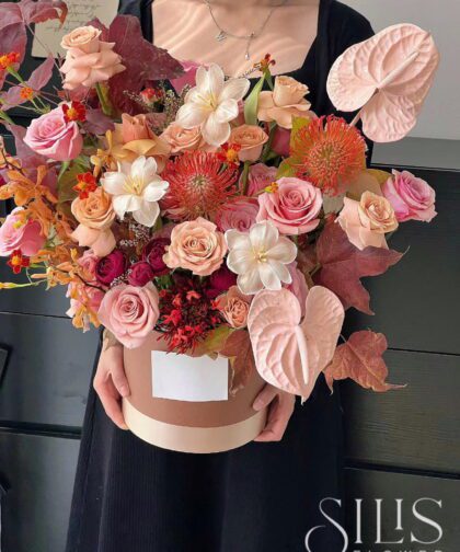 CAPPUCHINO RED PINK BOX M