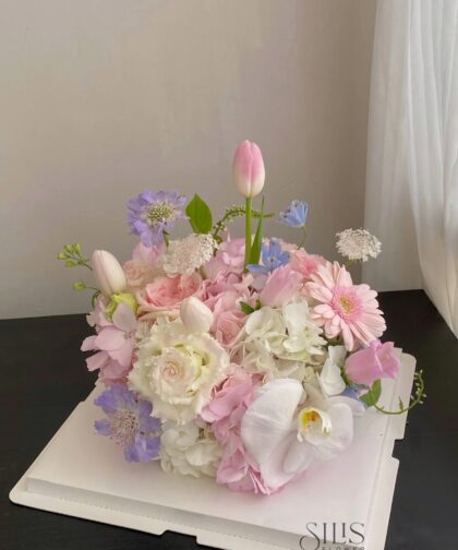 BLOOM CAKE TULIP ORCHIRD