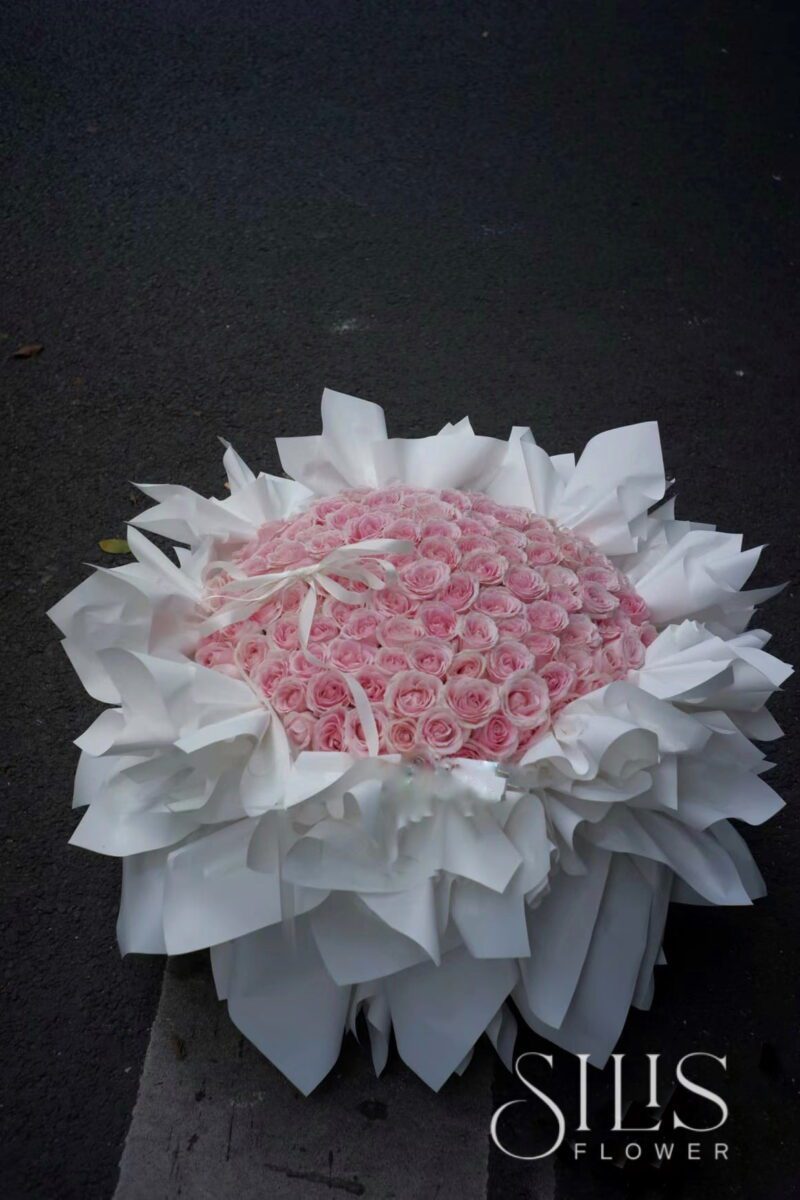 PINK OHARA L