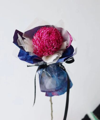 PINK HOT PEONY CHRYSANTHEMUM SINGLE