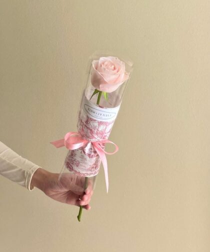 SINGLE PINK ROSE