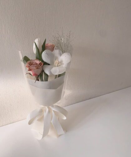 CAPPUCHINO TULIP MINI