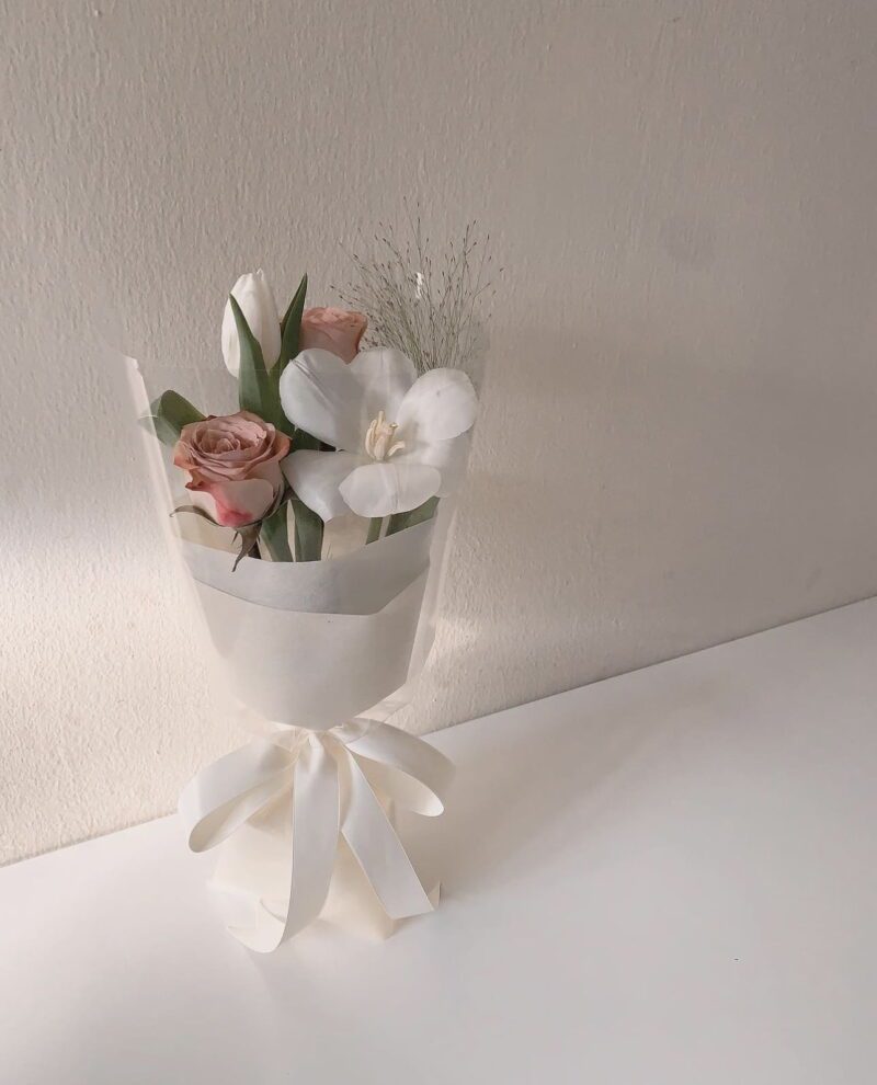 CAPPUCHINO TULIP MINI