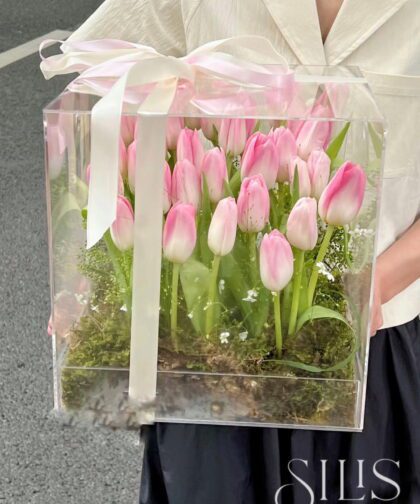 MICA FLOWER PINK TULIP FULL