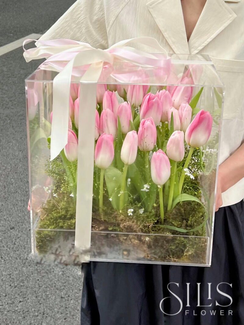 MICA FLOWER PINK TULIP FULL