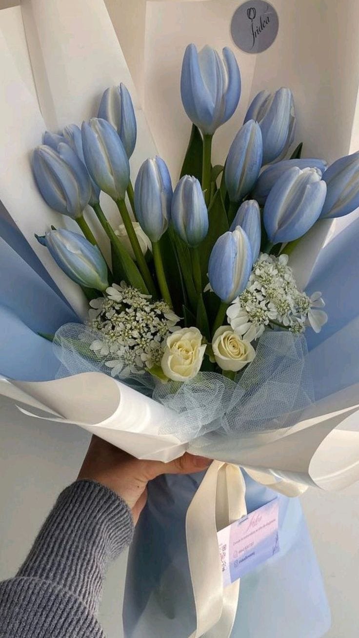 Ý nghĩa hoa tulip xanh – Biểu tượng của hy vọng và bình yên