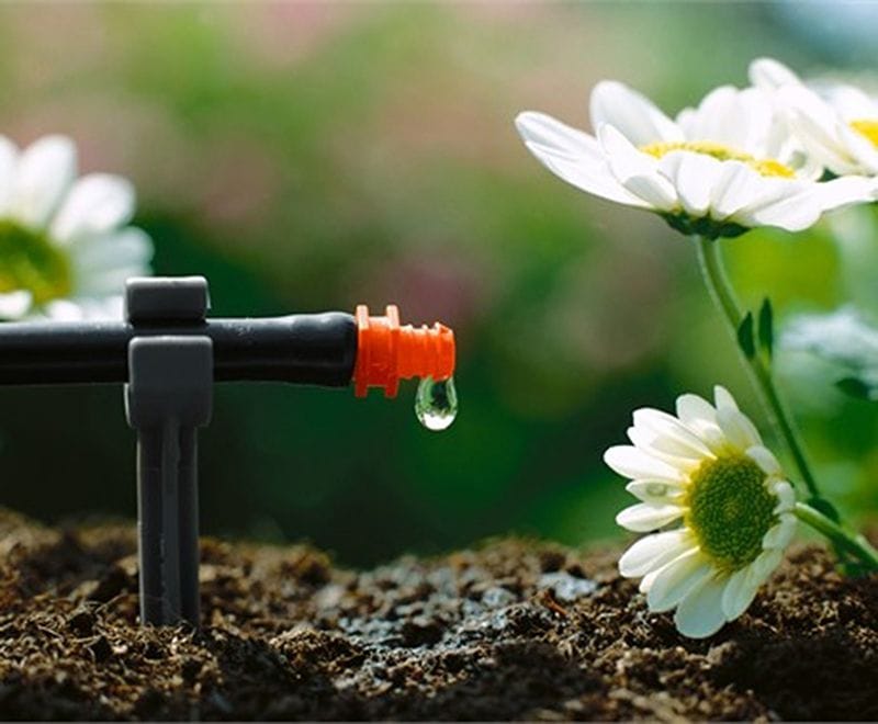 Các Loại Dung Dịch Giúp Bảo Quản Hoa Tươi Lâu Hơn
