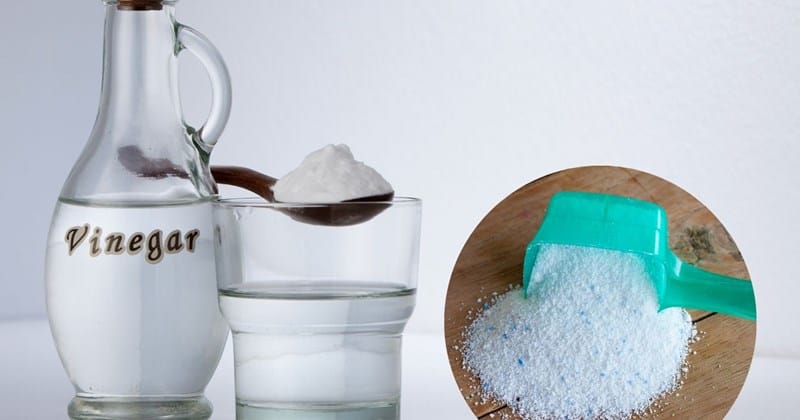 Mẹo giữ hoa tươi bằng nguyên liệu tự nhiên, đường và giấm