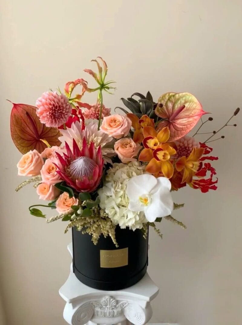 SHIMMER - DAHLIA -MALLOW FLOWER BOX