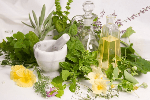 Mẹo giữ hoa tươi bằng nguyên liệu tự nhiên – Bí quyết từ Silis Flower