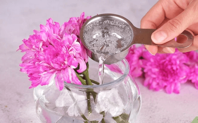 Cách Thay Nước và Chăm Sóc Hoa Hàng Ngày