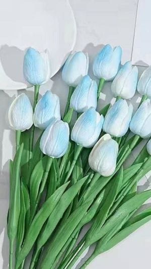 Ý nghĩa hoa tulip xanh