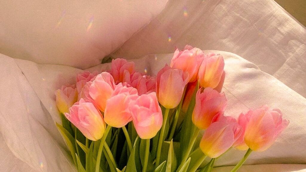 Giải mã ngôn ngữ màu sắc của hoa tulip