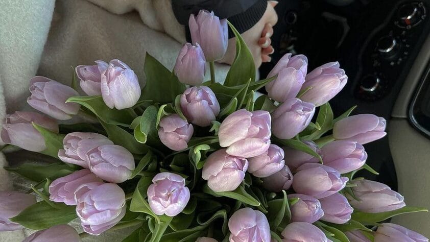 Hoa tulip - sứ giả của tình yêu và sự lãng mạn