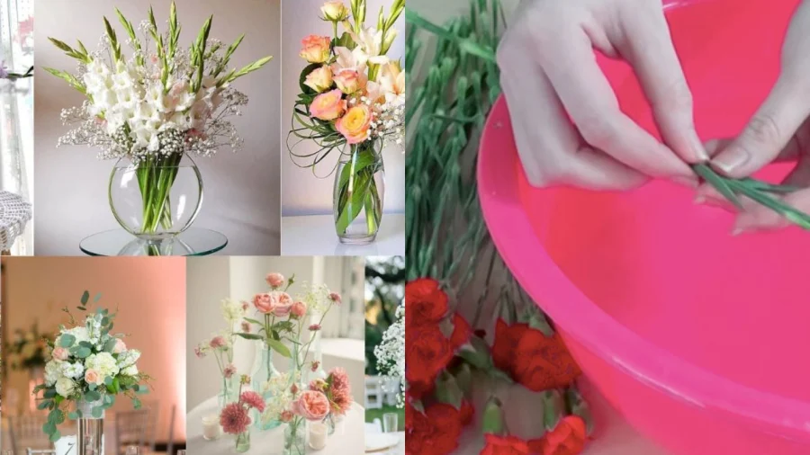 Kinh nghiệm bảo quản hoa tươi của shop hoa quận 1