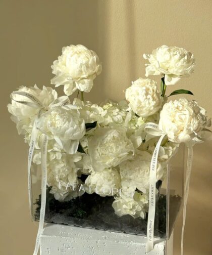 Garden of peony/ khu vườn hoa mẫu đơn trắng