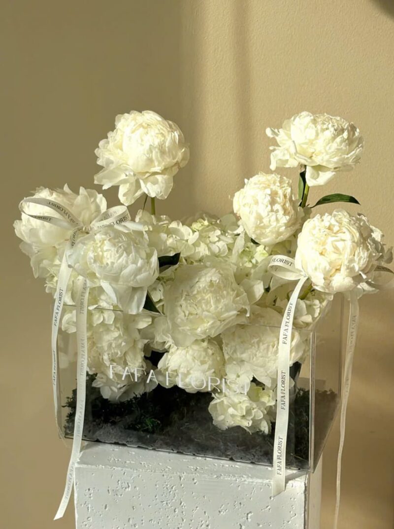 Garden of peony/ khu vườn hoa mẫu đơn trắng