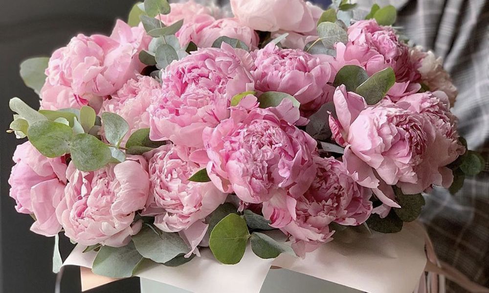 các loại hoa mẫu đơn