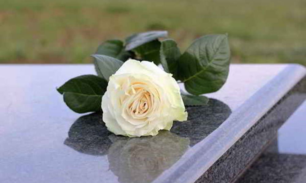 hoa hồng trắng tượng trưng cho điều gì