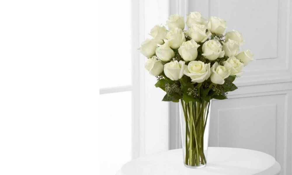 hoa hồng trắng tượng trưng cho điều gì