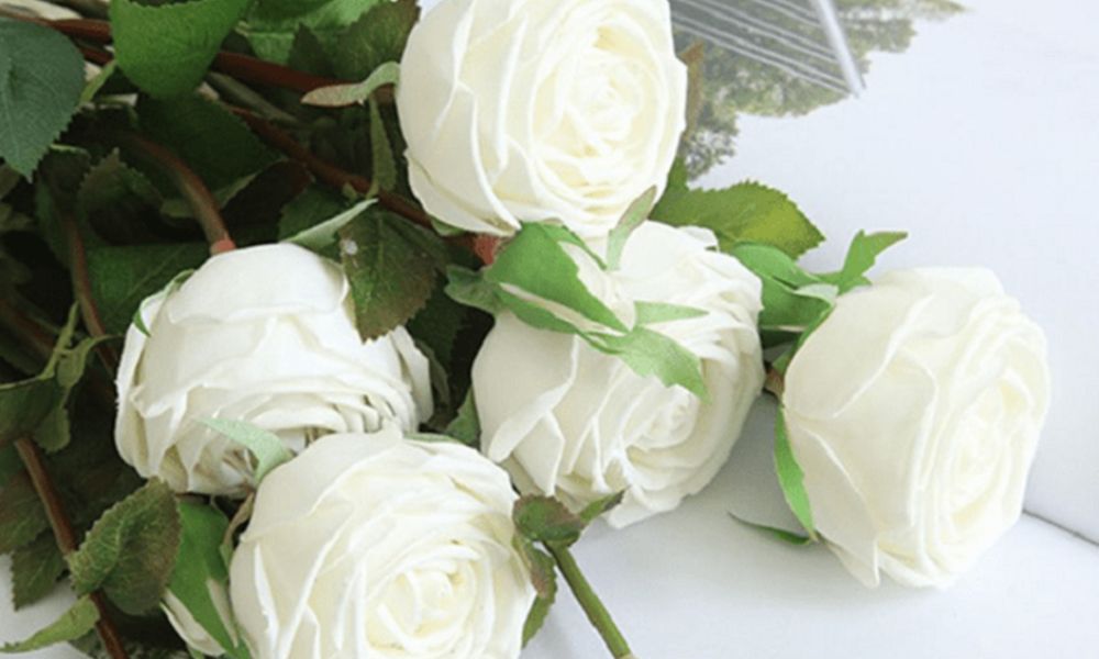 hoa hồng trắng tượng trưng cho điều gì