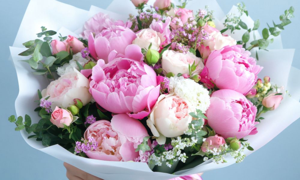 Hoa mẫu đơn trắng có ý nghĩa gì