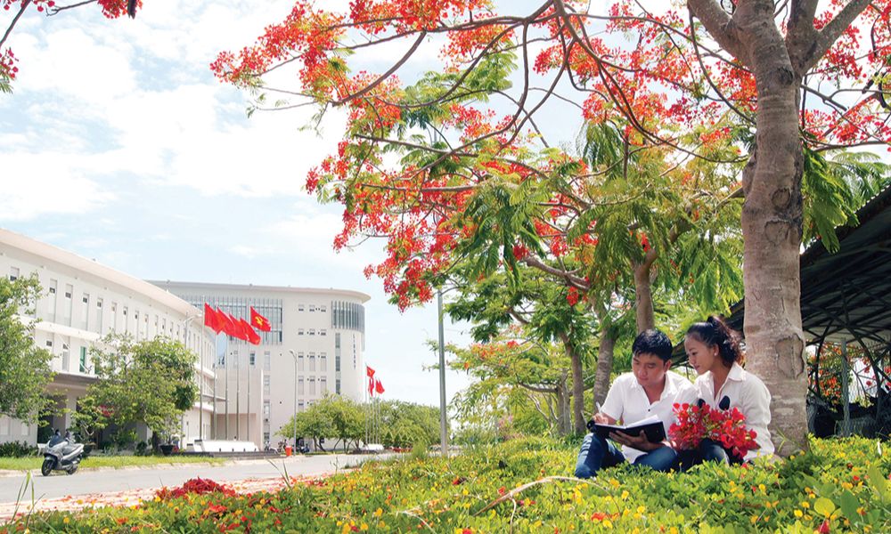 hoa phượng tượng trưng cho điều gì