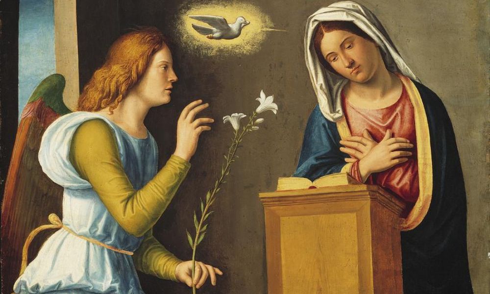 loài hoa biểu tượng của nước ý