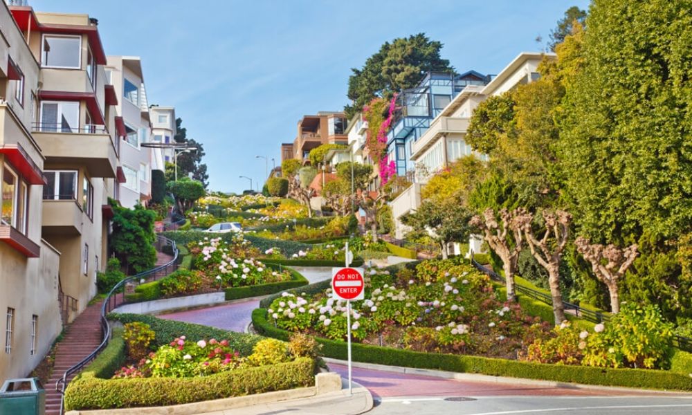 loài hoa nổi tiếng ở Mỹ