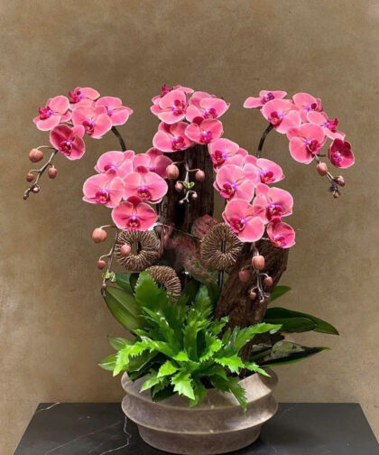 Lan Hồ Điệp Hồng Phối Gỗ Nghệ Thuật / Pink Phalaenopsis Orchid Arrangement