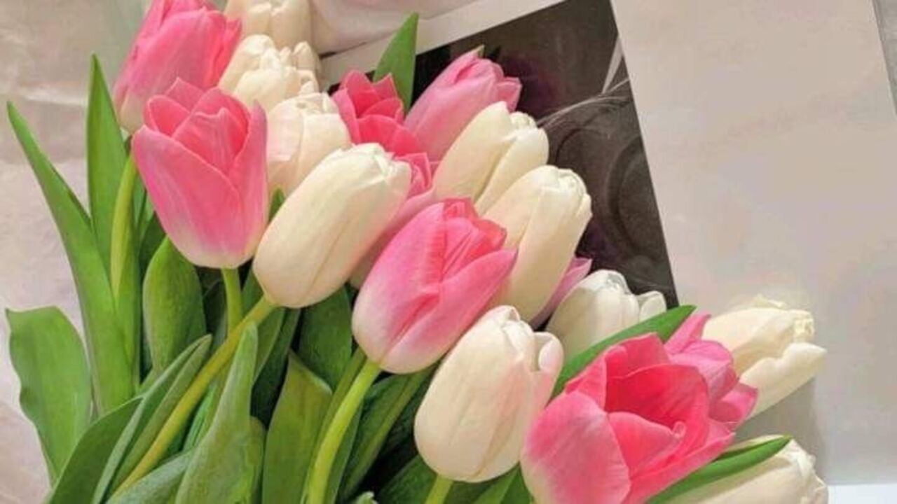 Popular flowers for Valentine’s Day