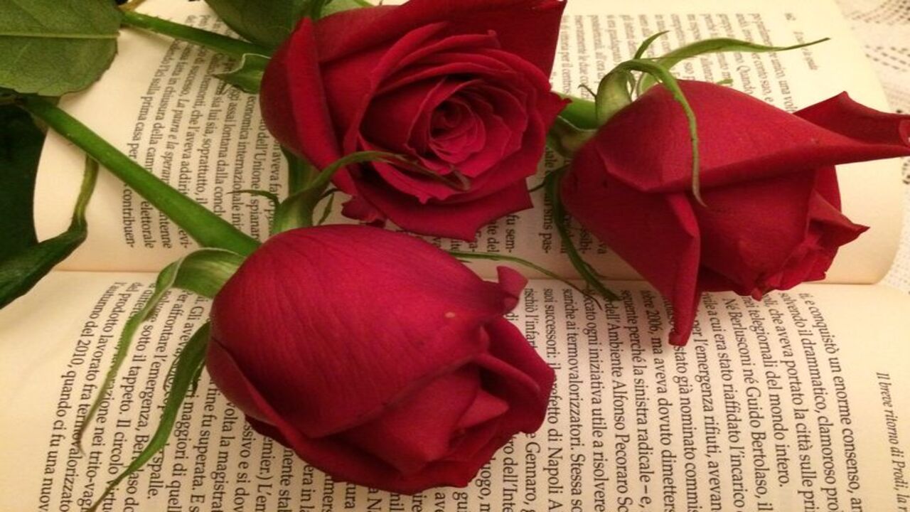 Popular flowers for Valentine’s Day