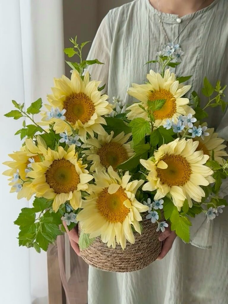 Hoa hướng dương mang ý nghĩa hướng về tri thức và tương lai tươi sáng.