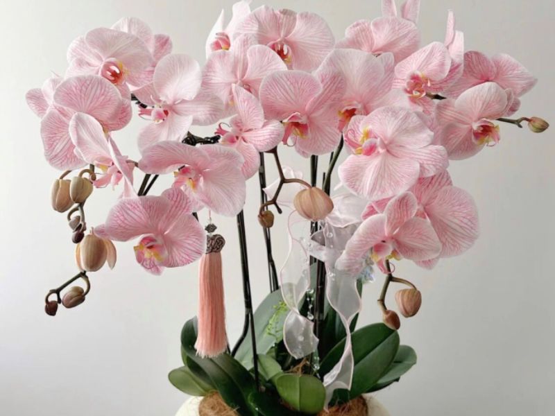 Hoa mừng thăng chức n&ecirc;n tặng g&igrave;
