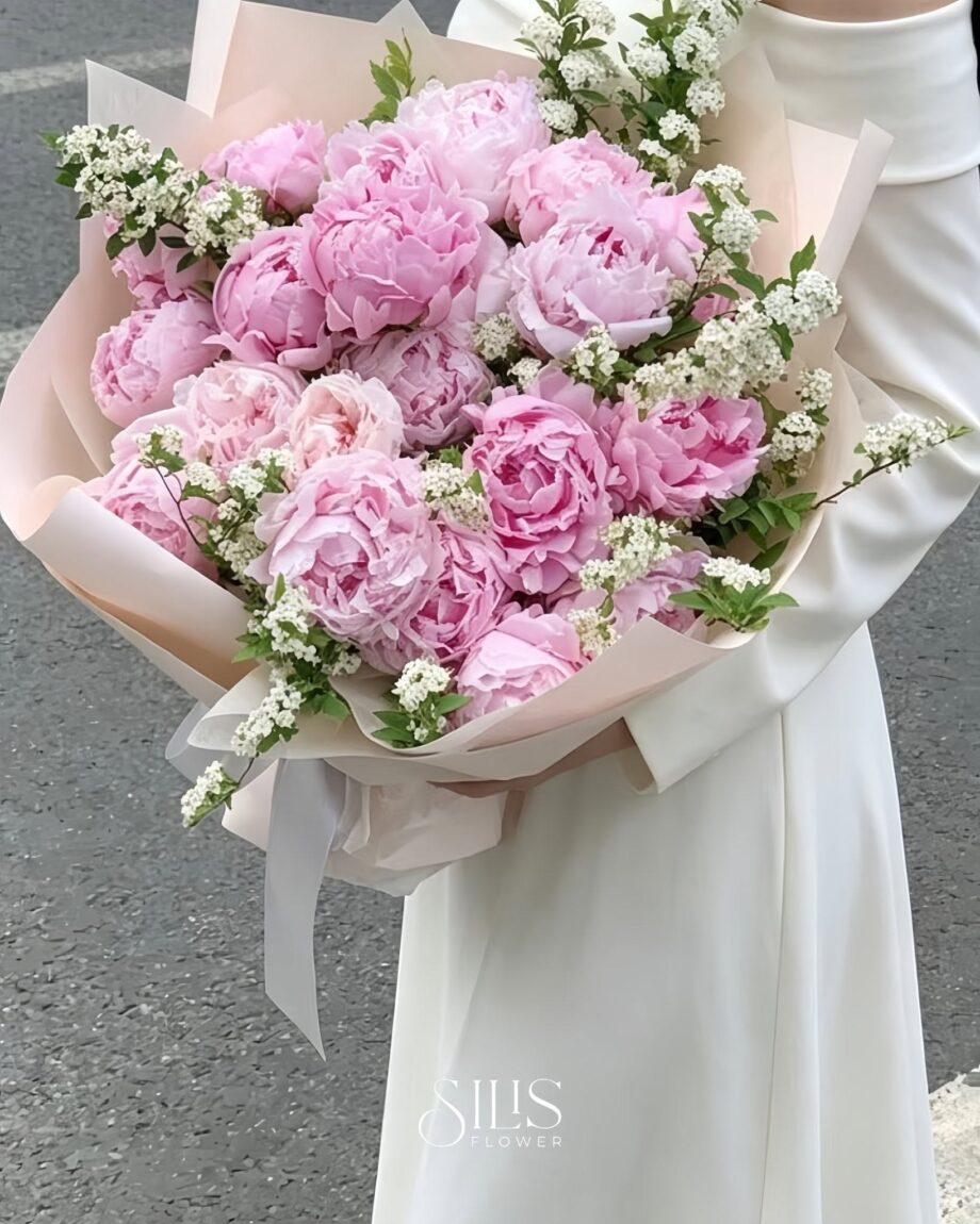 hoa mẫu đơn bao nhi&ecirc;u tiền